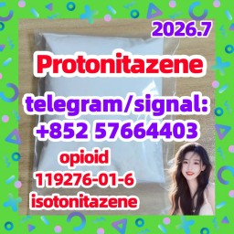 CAS 119276-01-6 Protonitazene Best Price