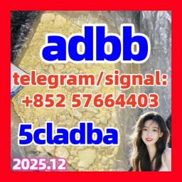 Low price yellow powder 5cladba 5cladbb 5cl | Low price yellow powder 5cladba 5cladbb 5cl |