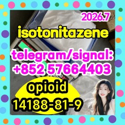 Isotonitazene (CRM) (CAS Number: 14188-81-9)