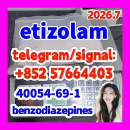 etizolam 40054-69-1