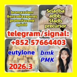 5cladba PMK eutylone opioid benzodiazepines bmk protonitazene bromazolam raw materials