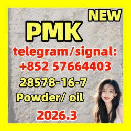 PMK ethyl glycidate (NSC 195099, CAS Number: 28578-16-7)