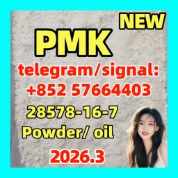 Where to Buy CAS No.: 28578-16-7 | PMK ethyl glycidate