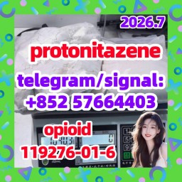CAS: 119276-01-6 Protonitazene (hydrochloride)
