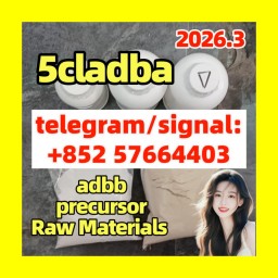 5cladba raw material 5CL-ADB-A precursor raw 5cladba 5f adb