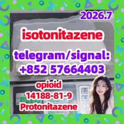 14188-81-9 Isotonitazene