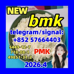 BMK Glycidic Acid (sodium salt) CAS 5449-12-7