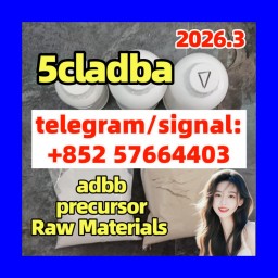 5CL-ADB China Supplier 5cl 5cladba 5cladba