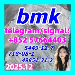 CAS 5449-12-7 BMK Glycidic Acid (sodium salt) 99.9% Purity CAS 5449-12-7 CAS 5449-12-7 BMK Glycidic Acid (sodium salt) 99.9% Purity CAS 5449-12-7