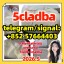 From China 5cl-adb Supplier 5cl 5cladba 5cl Adb Vendor 强效