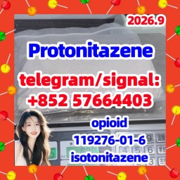 Protonitazene CAS 119276-01-6