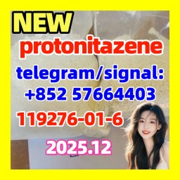 Protonitazene CAS 119276-01-6 - 9 Protonitazene CAS 119276-01-6 - 9