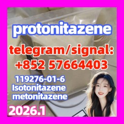 High quality CAS:119276-01-6 Protonitazene (hydrochloride) High quality CAS:119276-01-6 Protonitazene (hydrochloride)