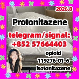 CAS 119276-01-6 Protonitazene