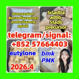 5cladba adbb raw material 5CL-ADB-A precursor raw 5cladba 5f adb 4fadb