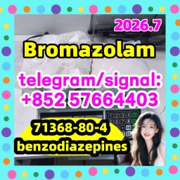 Cas 71368-80-4 Bromazolam 99.8% white powder