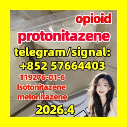 Protonitazene (hydrochloride) (Pronitazene, CAS Number: 119276-01-6)