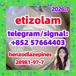etizolam 40054-69-1