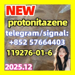 protonitazene 119276-01-6 protonitazene 119276-01-6