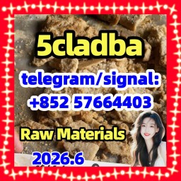 5CL-ADB supplier 5cladba 5cladb precursor 5fadb adbb jwh-018  Cannabinoids 1119-51-3