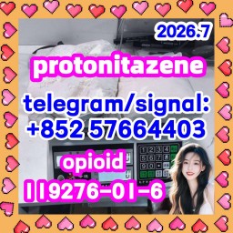 CAS 119276-01-6 Protonitazene