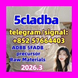 5cl-adb Powder 5cl Adb 5cl 5cladba 5cl Raw Materials cas 137350-66-4