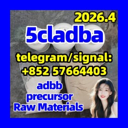Sell 5cladba adbb JWH-018 5FADB in stock