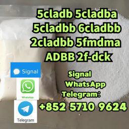 5cladba,5CLADBA,5cl,5ck-adb-a,yellow Powder,high Quality,99% 5cladba,5CLADBA,5cl,5ck-adb-a,yellow Powder,high Quality,99%