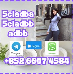 5CL-ADBA China Supplier 5cl 5cladba 5cladba