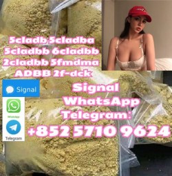 Premium 5cladba 5cladbbADBB 5cl 6clyellow Powder : Quick Ship Premium 5cladba 5cladbbADBB 5cl 6clyellow Powder : Quick Ship