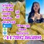 Hot Selling 5cladba, 5cladb, 5cl, 5cl-adb, 5cl-adb-a, Adbb