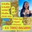 5cl-adb, 5c, 5cl, 5cl-adb-a, 5cladba With Lowest Price And Fast Delivery
