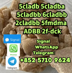 5cladbb 5fadba 6cladbb 2cladbb 5fmdma 6cladba 5cladba 2f-dck 5cladbb 5fadba 6cladbb 2cladbb 5fmdma 6cladba 5cladba 2f-dck
