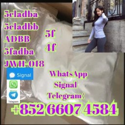 5cl-adb Powder 5cl Adb 5cl 5cladba 5cl Raw Materials cas 137350-66-4