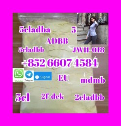 5cladba adbb raw material precursor raw 5cl-adba 5f adb