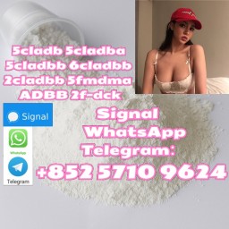 Potent Pure 5cladba 5cladbbADBB 5cl 6clyellow Powder : Ship Potent Pure 5cladba 5cladbbADBB 5cl 6clyellow Powder : Ship