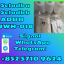 Good price 5cladbb adba CAS137350-66-4