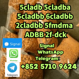 5CL-ADB-A powder 5-cl-adb-a Research Chemical Powders 5cladba 5CL-ADB-A powder 5-cl-adb-a Research Chemical Powders 5cladba