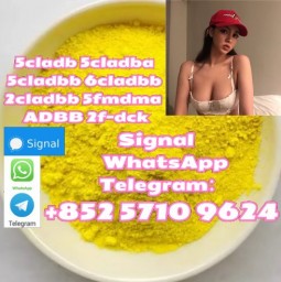 High-Grade yellow Powder 5cladba 5cladbb 5cl Adbb : Delivery High-Grade yellow Powder 5cladba 5cladbb 5cl Adbb : Delivery