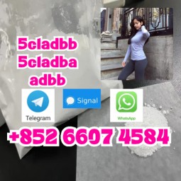 Yellow 5cl-adb-a/5cladba/5c Powder