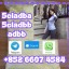 5cladba,5cladba,5cl,5ck-adb-a,yellow Powder,high Quality,99% at Best Price