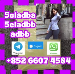 5cladba raw material 5CL-ADB-A precursor raw 5cladba 5f adb