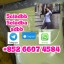 buy 5cl 5cladba precursor yellow powder best supplier