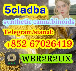 5cladba precursor adbb powder 5fadb raw material 5cladba precursor adbb powder 5fadb raw material