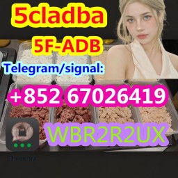 Good price 5CL-ADB-A,5CLADBA,ADBB in stock