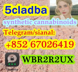 Protonitazene hydrochloride CAS 119276 01 6 CAS 119276 01 6 Protonitazene hydrochloride CAS 119276 01 6 CAS 119276 01 6
