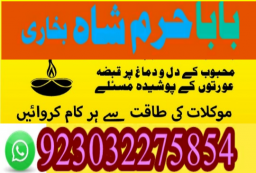 authentic amil baba canada kala jadu expert england usa famous amil baba america