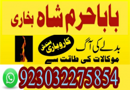 authentic amil baba canada kala jadu expert england usa famous amil baba america