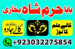 authentic amil baba canada kala jadu expert england usa famous amil baba america