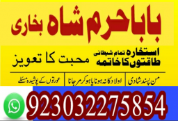 authentic amil baba canada kala jadu expert england usa famous amil baba america